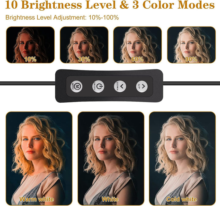 Stynice LED Videoleuchte - USB Studio-Beleuchtungsset mit verstellbarem Stativ und Farbfiltern für Y
