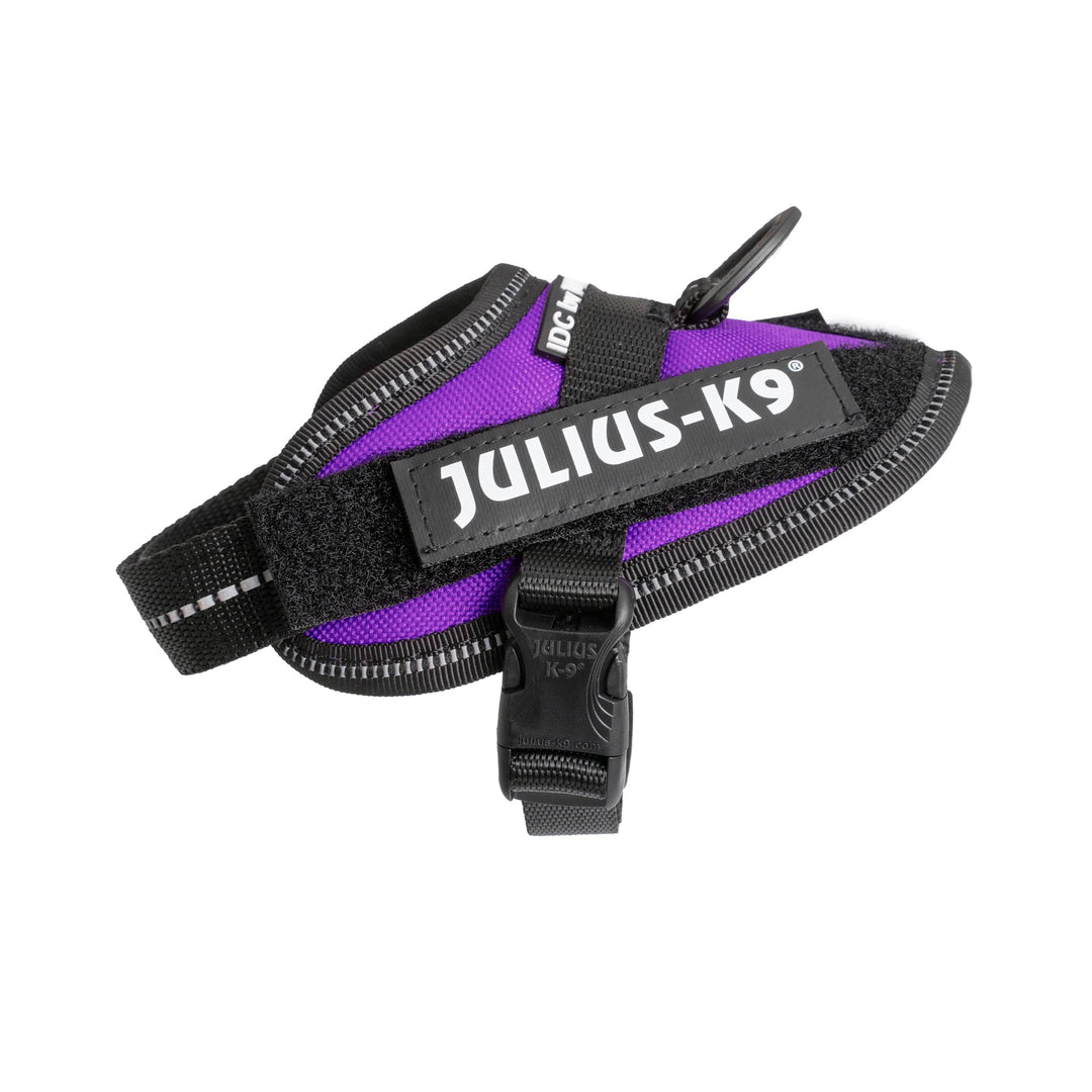Julius-K9, IDC Powergeschirr, Grösse: 3XS/Baby 1, Dunkelviolett