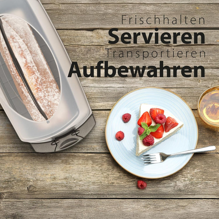 Hausfelder Kuchen Transportbox rechteckig, Kuchenbox für Kastenkuchen, Kuchentransportbox Kastenform