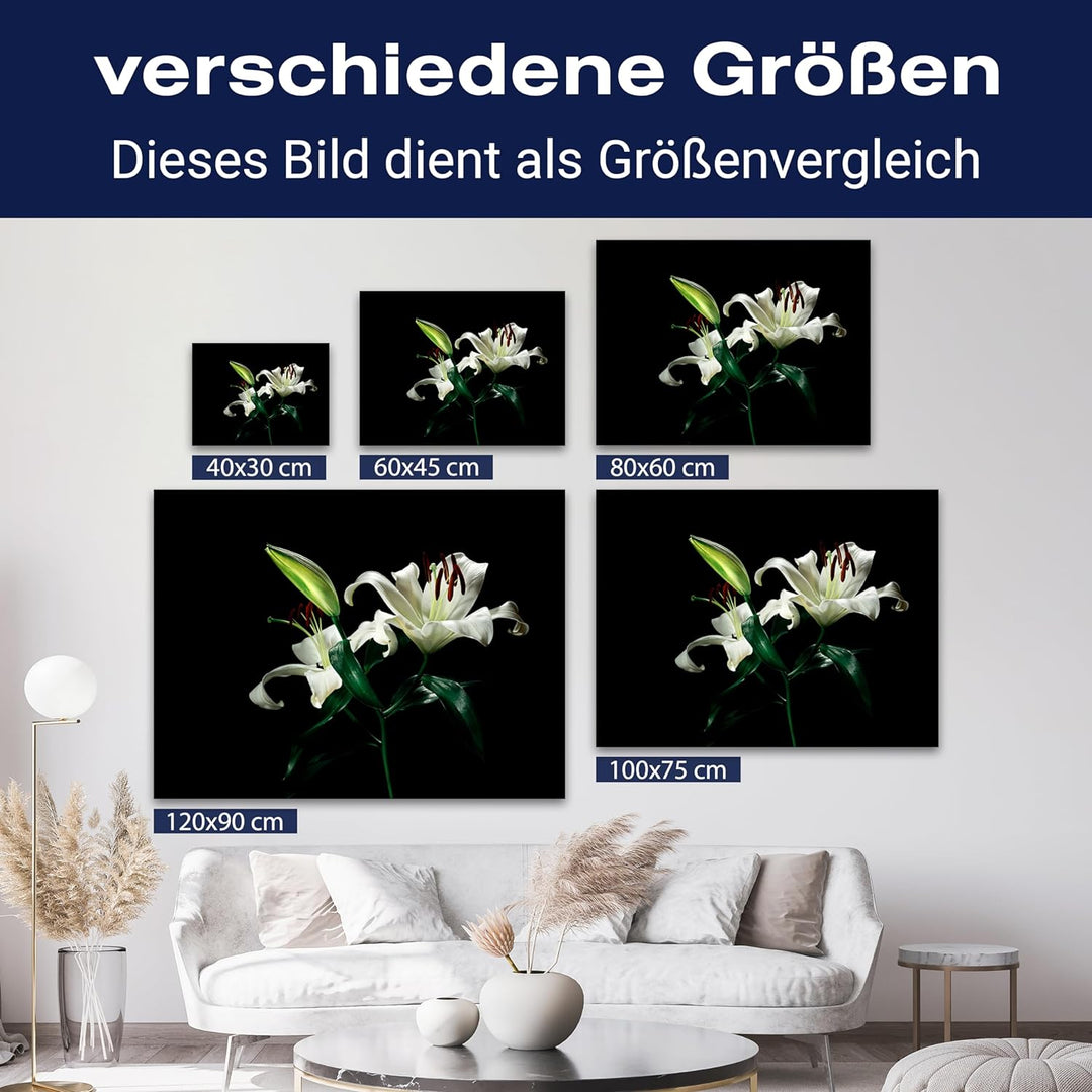 wandmotiv24 Leinwandbild Natur, 80x60cm, Querformat, Blumen, Deko, Bilder auf Leinwand, Wanddeko, XX