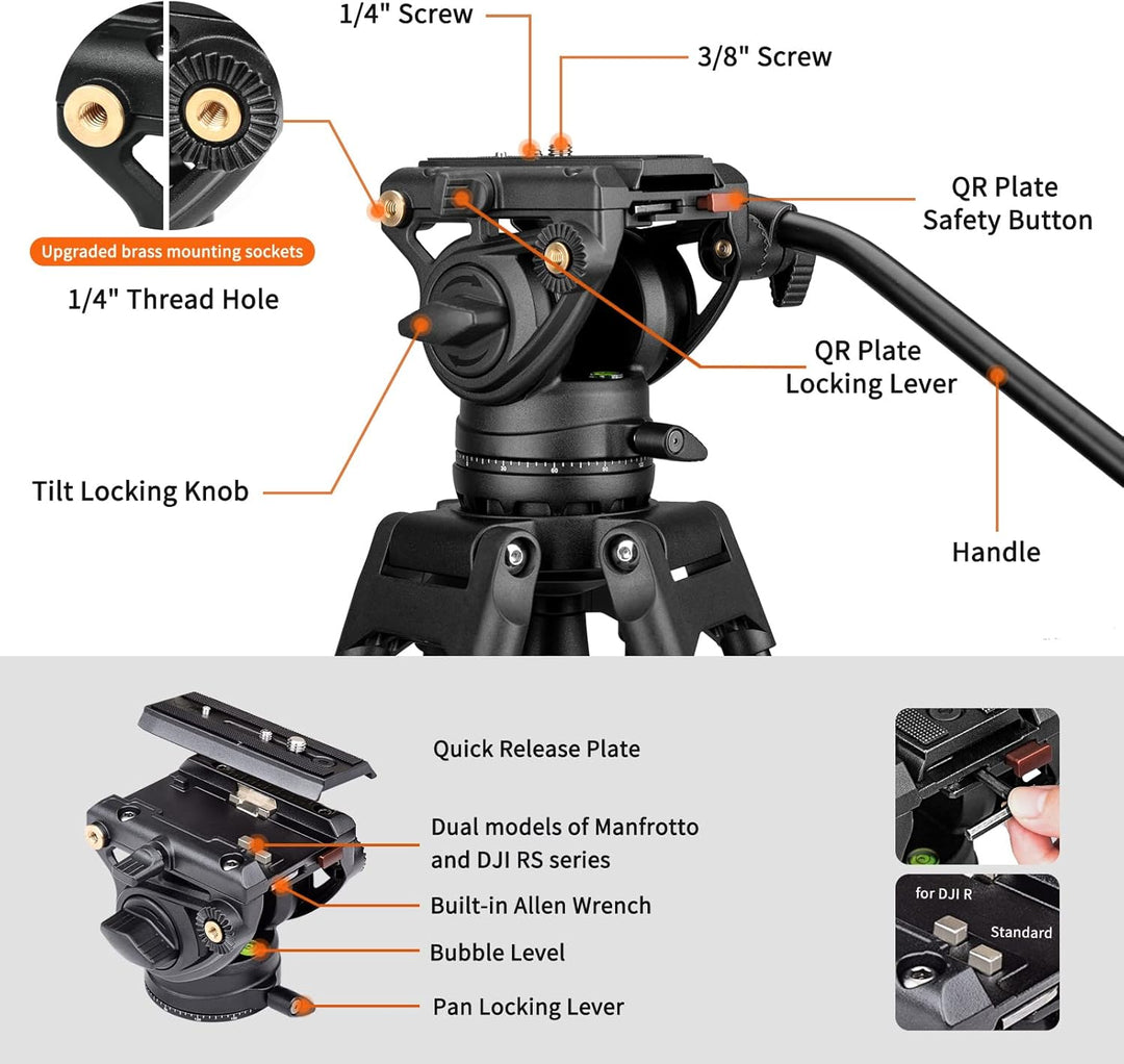 Cayer BF30L Video-Stativ mit Fluid-Kopf, 73" Heavy Duty Stativ mit 360 Grad Fluid-Kopf und Schnellwe