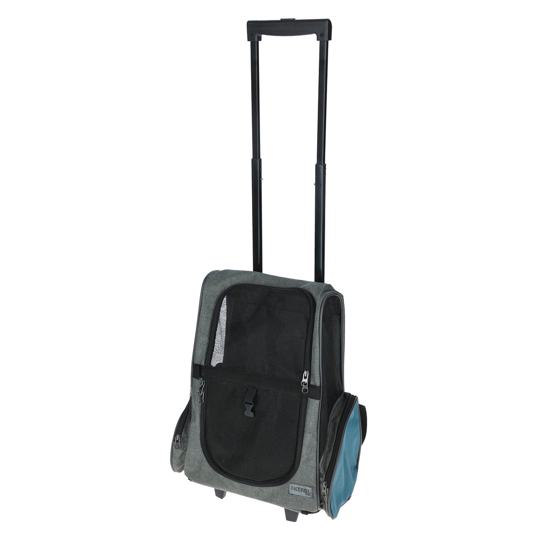 Trolley Vacation 41x26x55/103cm, grau/blau