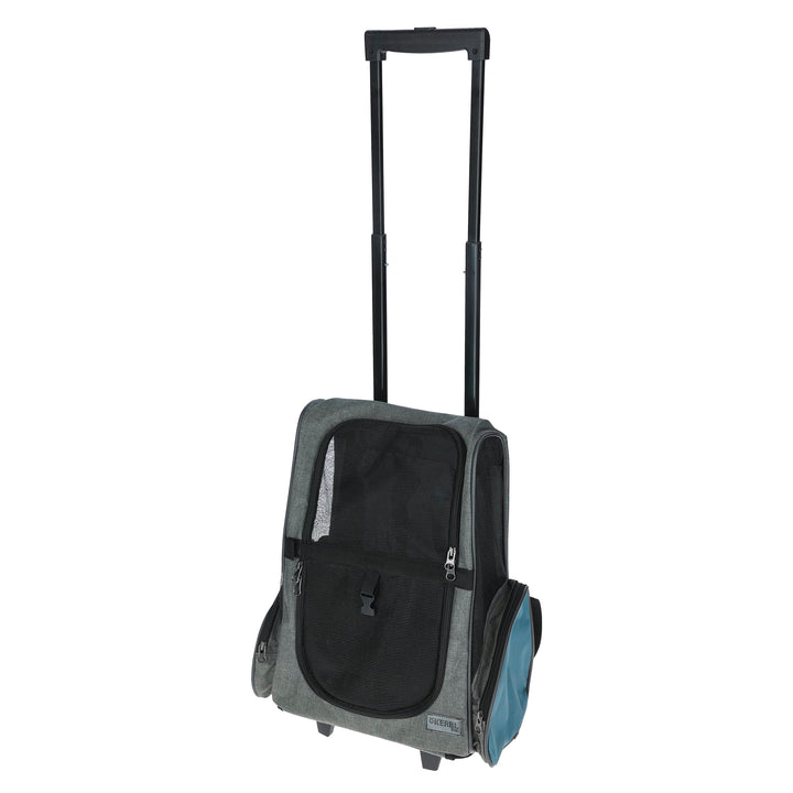 Trolley Vacation 41x26x55/103cm, grau/blau