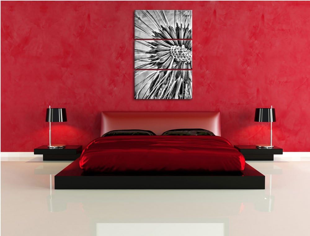 Pixxprint Vertrocknete Pusteblume als Leinwandbild/Grösse: 3 Teilig (120x80) cm/Wandbild/Kunstdruck/