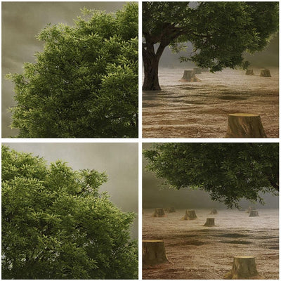 Bilder auf Leinwand Baum Feld Umwelt Leinwandbild mit Rahmen 70x50cm Wandbilder Dekoration Wohnzimme