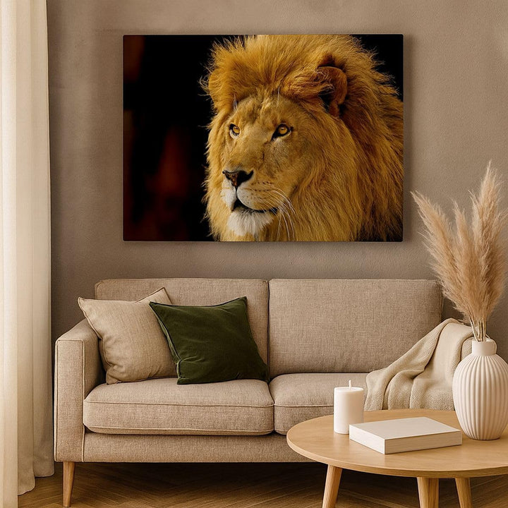 Bilder auf Leinwand Löwe Tiere Tierwelt Leinwandbild mit Rahmen 70x50cm Wandbilder Dekoration Wohnzi