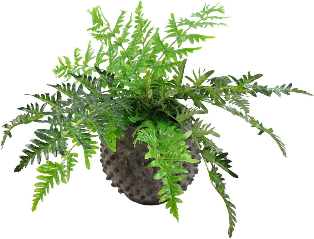 Leaf Farnpflanze, immergrün LEAF-7145 50cm Luxury fern 50cm Luxury Fern 50cm Luxury Fern, 50cm Luxur