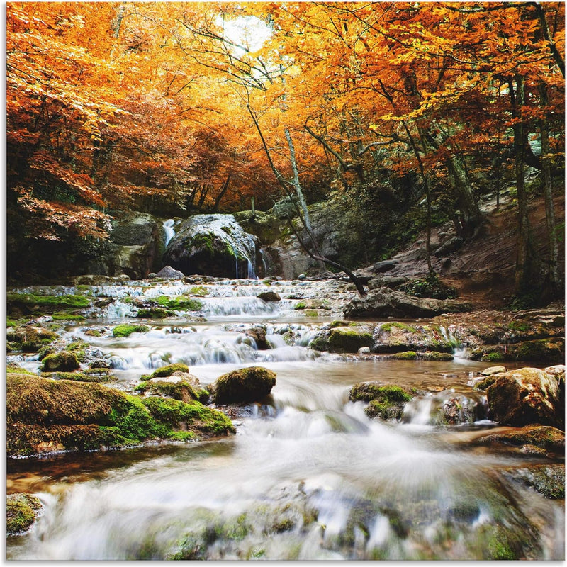 ARTland Wandbild Alu Verbundplatte für Innen & Outdoor Bild 40x40 cm Herbst Landschaft Natur Wald Wa