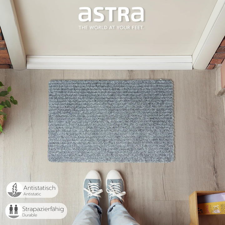 Astra Fussmatte innen Silber Schmutzfangmatte rutschfest – Türmatte 40x60 cm wasserabweisend – Rib L