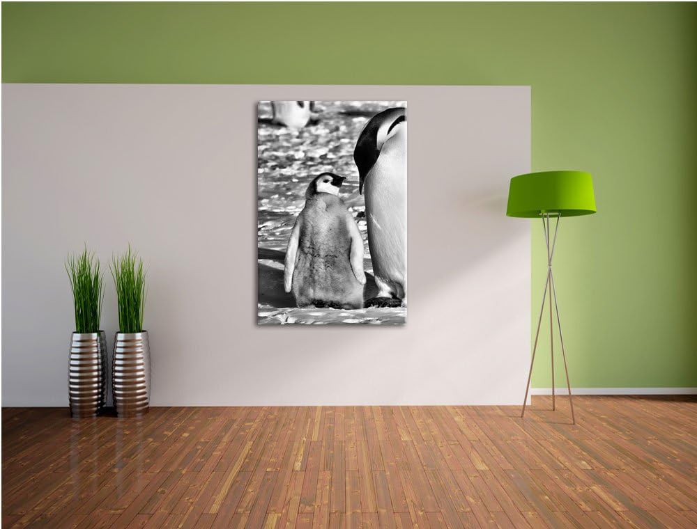 Pixxprint Kaiserpinguin mit Küken / 100x70cm Leinwandbild bespannt auf Holzrahmen/Wandbild Kunstdruc