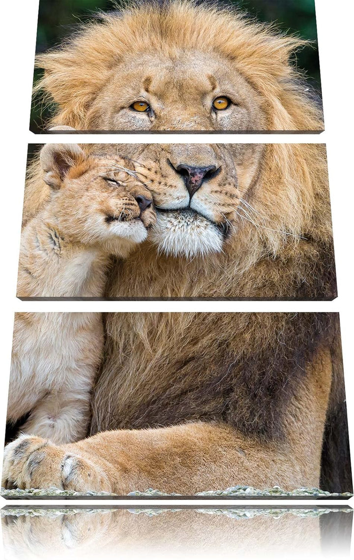 Pixxprint schöner Löwe mit Jungtier als Leinwandbild/Grösse: 3 Teilig (120x80) cm/Wandbild/Kunstdruc