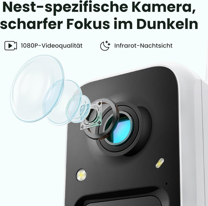 Birdfy Vogelhaus mit Kamera Solar, 1080P FHD Live-View, Echtzeitbeobachtung des Nestbaus und der Bru