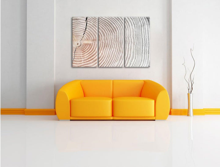 Pixxprint Baumstamm Jahresringe / 3-Teilig/Gesamtmass 120cm Leinwandbild bespannt auf Holzrahmen/Wan