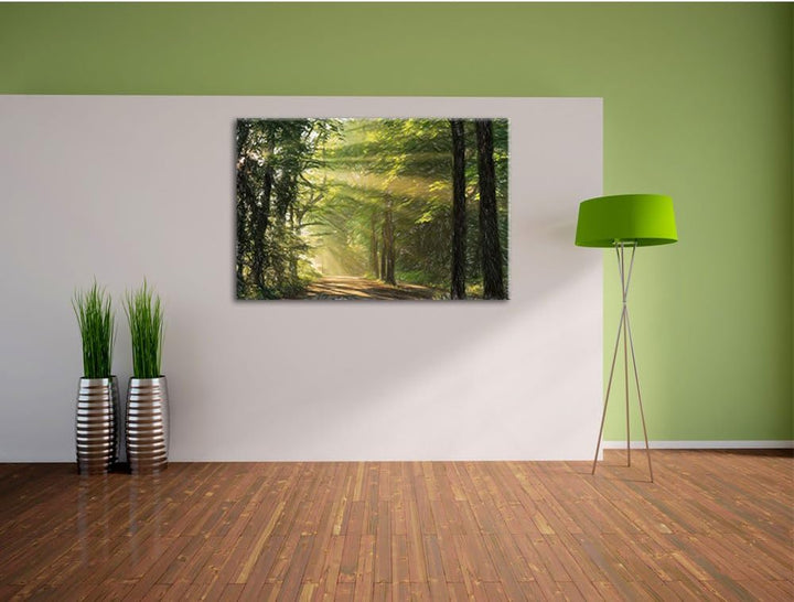Pixxprint Waldweg im Frühling als Leinwandbild/Grösse: 100x70 / Wandbild/Kunstdruck/fertig bespannt,