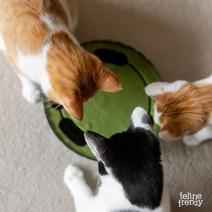 P.L.A.Y. Lifestyle and You Peek-A-Boo Maus Interaktives Katzenspielzeug