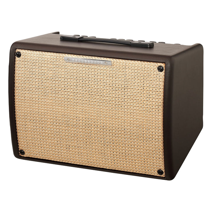 IBANEZ Akustikverstärker Troubadour - 30 Watt (T30II)