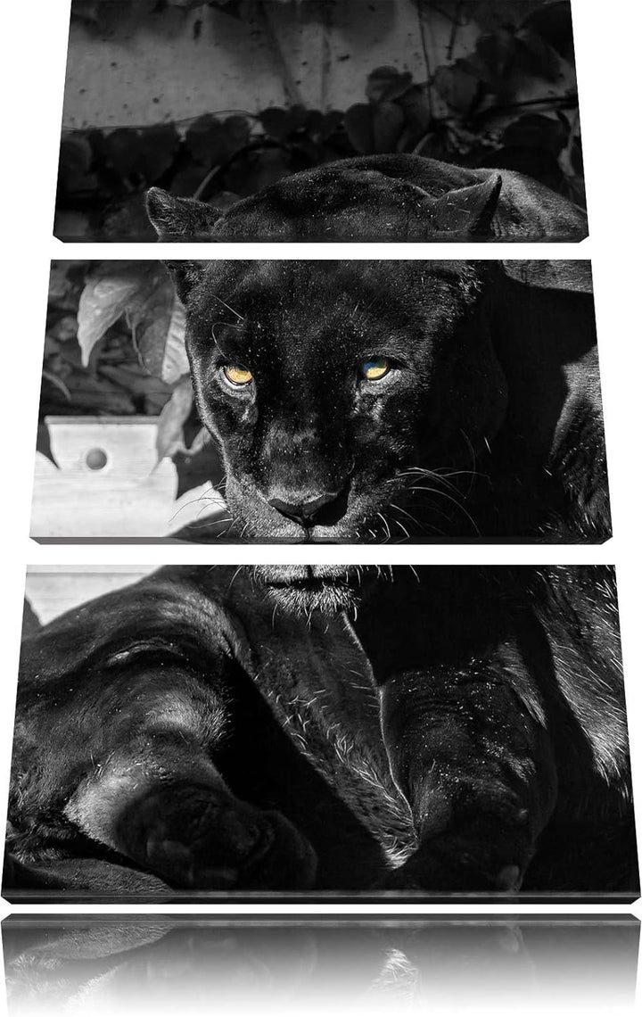Pixxprint schwarzer Panther als Leinwandbild/Grösse: 3 Teilig (120x80) cm/Wandbild/Kunstdruck/fertig