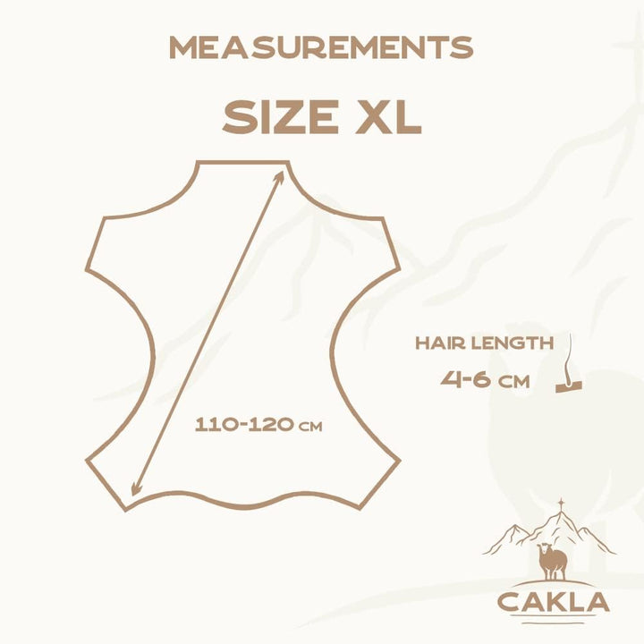 Cakla Lammfell Echt 110-120 cm - Schaffell Echt Gross - Fellteppich Weiss - Weich und Flauschig - Fe