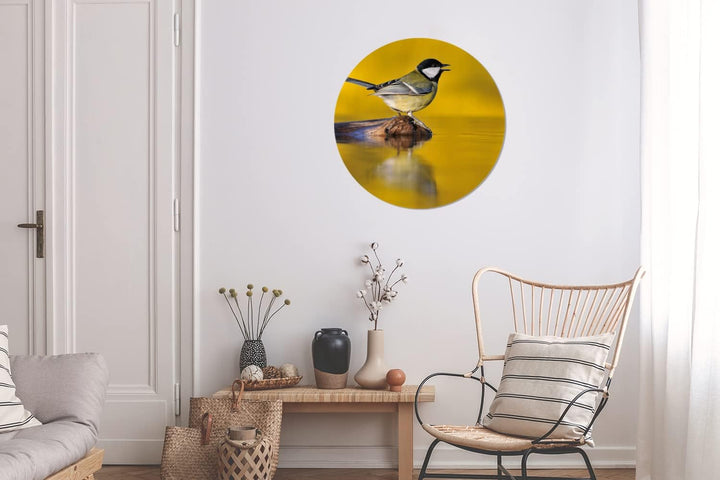 MuchoWow Wandbild Rund Wanddeko Deko Wohnzimmer Bilder 60x60 cm Kohlmeise - Vogel - Wasser, 60x60 cm