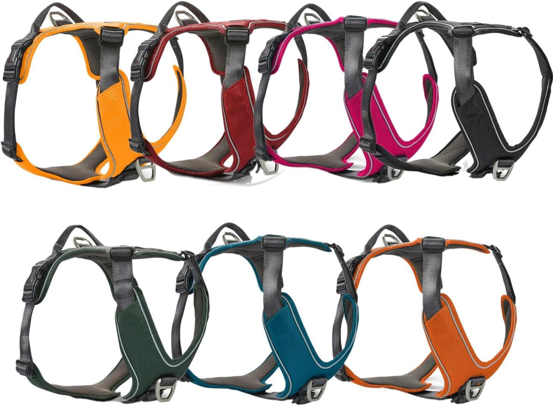 Wolters Geschirr Active Pro Comfort, Grösse:70-85 cm, Farbe:Petrol/anthrazit 70 - 85 cm petrol/anthr