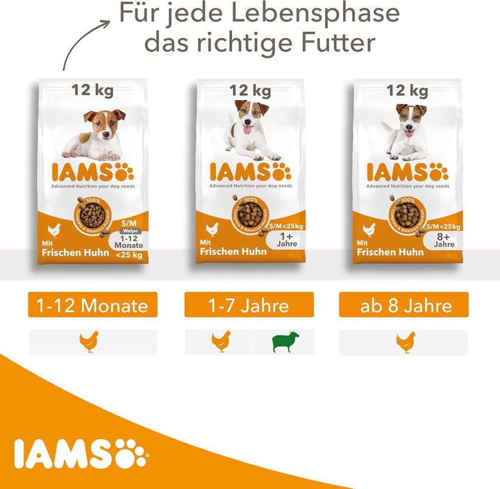 IAMS for Vitality Hundefutter trocken Huhn - Trockenfutter für erwachsene Hunde ab 1 Jahr, geeignet