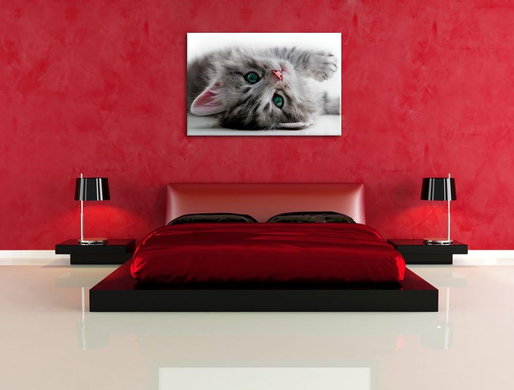 Süsses Katzenbaby, Format: 100x70 auf Leinwand, XXL riesige Bilder fertig gerahmt mit Keilrahmen, Ku