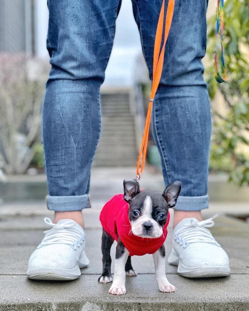 Gooby - Stretch Fleece Weste Pullover Fleece Weste Jacke Sweater für Hunde, Rot, Grösse L rot Large