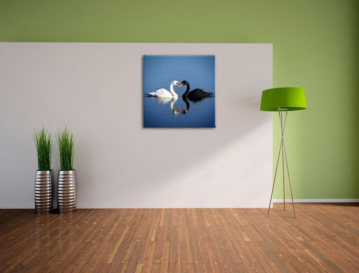 verliebte Schwäne schmusen, Format: 70x70 auf Leinwand, XXL riesige Bilder fertig gerahmt mit Keilra
