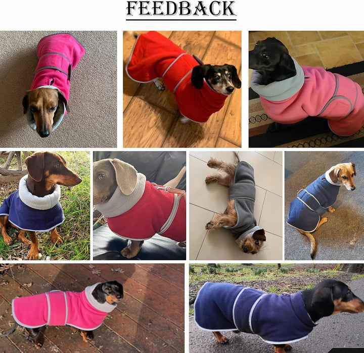 MOREZI Winterhundejacke mit wattiertem Flusenfutter, verstellbarem Klettknopf und hochklappbarem Ste