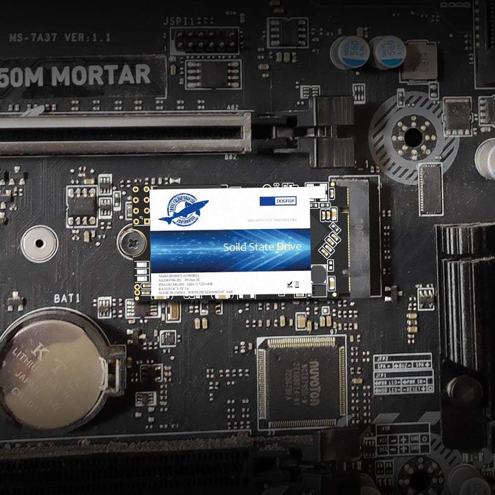 Dogfish SSD M.2 2242 500GB Solid State Drive Ngff Internen Desktop Computer 6Gb/s High Performance F