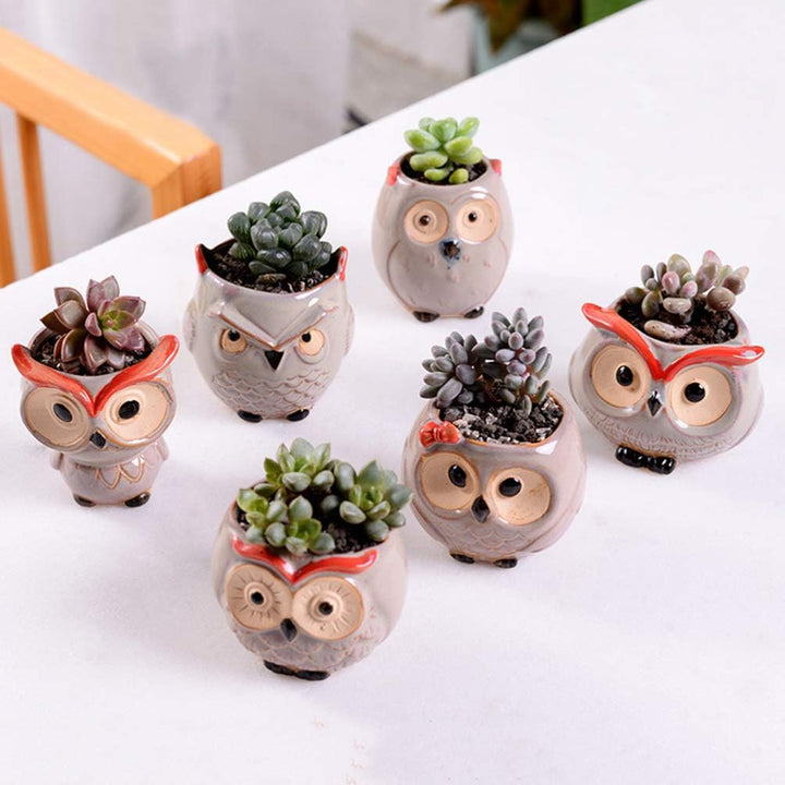 Happyyami 6st Kleine Pflanzent? Luftpflanzenbehälter Eule Blumentopf ?enpflanzer T? Gro? Eule Pflanz
