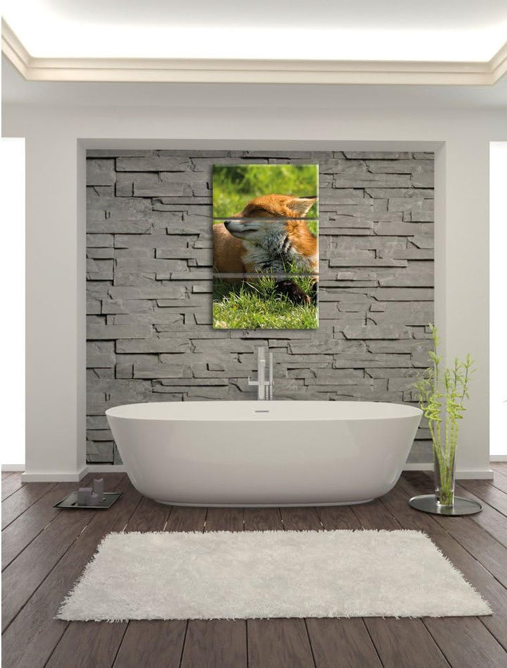 Pixxprint Fuchs im Gras 3-Teiler Leinwandbild 120x80 Bild auf Leinwand