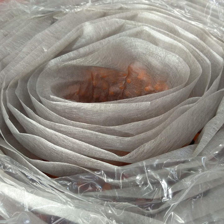 Schlüter TROBA-PLUS 8 Flächendrainage 12,5x1m