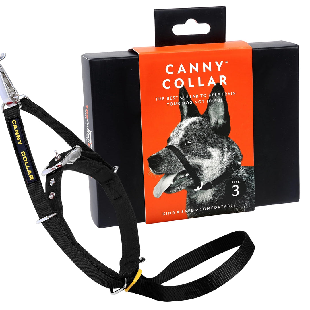 Canny Collar Halsband für Hunde, einfache und effektive Hilfe beim Hundetraining und verhindert das