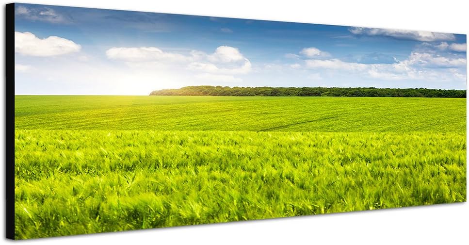 Paul Sinus Art Panoramabild auf Leinwand und Keilrahmen 150x50cm Ukraine Feld Wiese Sommer Wolkensch