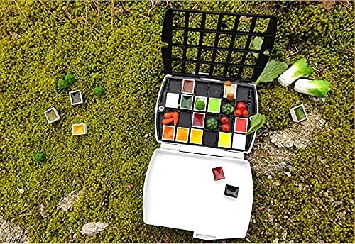 MIJELLO 87028 Mission Gold Aquarell-Kasten mit 1/2 Näpfchen, cadmiumfreie Künstler-Aquarellfarbe, 24