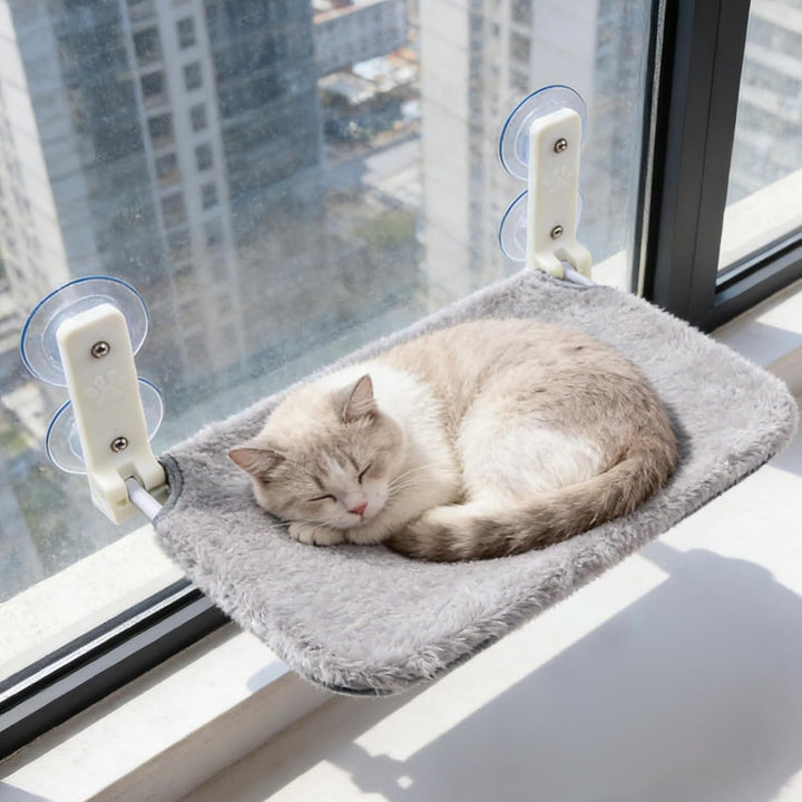Katzen Fensterhängematte: Faltbares Katzen Fensterbett mit Abnehmbare Plüschunterlage und 4 Starken