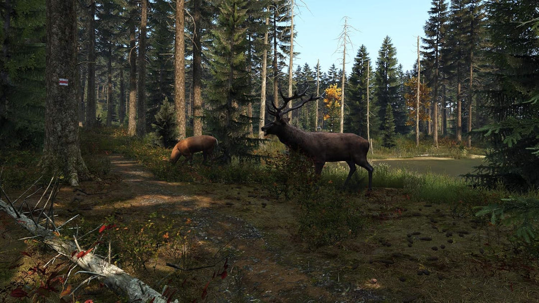 Dayz (PS4) (New)