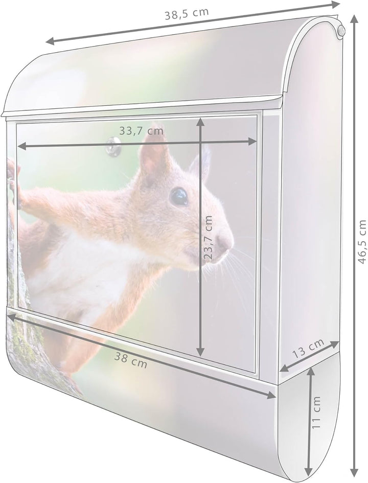 banjado® Design Briefkasten mit Motiv Eichhörnchen 39x47x14cm &amp; 2 Schlüssel - Briefkasten Stahl weis
