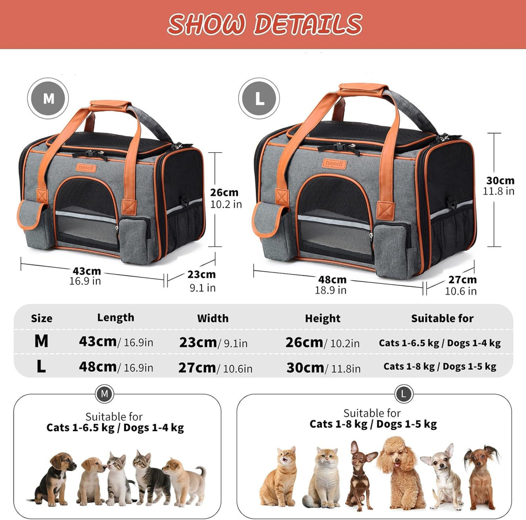PETCUTE Transportbox Katze und Hunde,Katzentransportbox mit Abnehmbare Matte,Faltbare Atmungsaktiv K