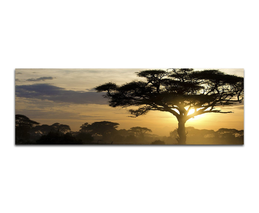 Paul Sinus Art Panoramabild auf Leinwand und Keilrahmen 150x50cm Afrika Landschaft Bäume Sonnenunter
