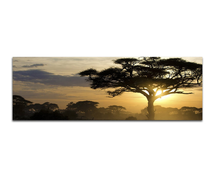 Paul Sinus Art Panoramabild auf Leinwand und Keilrahmen 150x50cm Afrika Landschaft Bäume Sonnenunter