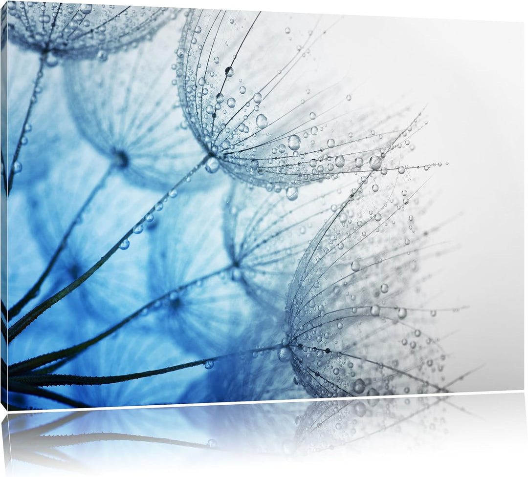 Pixxprint Tropfen bedeckte Pusteblumen/Format: 100x70cm / Leinwandbild fertig bespannt Wandbild Kuns