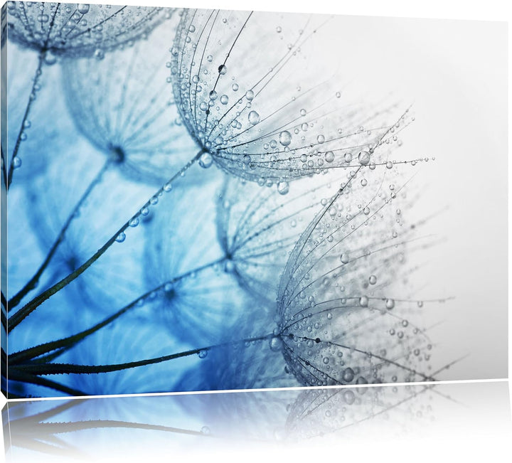 Pixxprint Tropfen bedeckte Pusteblumen/Format: 100x70cm / Leinwandbild fertig bespannt Wandbild Kuns