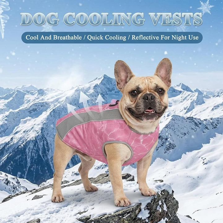 Hundekühlweste mit Geschirr, Outdoor-Welpenkühljacke mit verstellbarem Reissverschluss, reflektieren