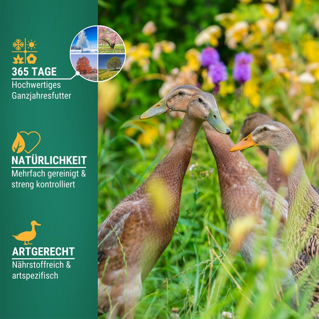 Agrarzone Entenfutter Pellets 20 kg - Österreichisches Laufenten Futter - 100% Gentechnikfrei & Gere