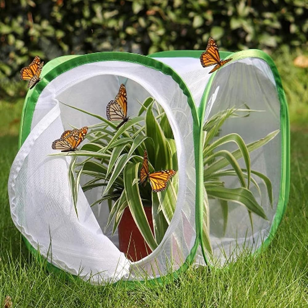 Netzkäfig für Insekten und Schmetterlinge im Garten, transparenter Kleiner Sitzkäfig für Schmetterli