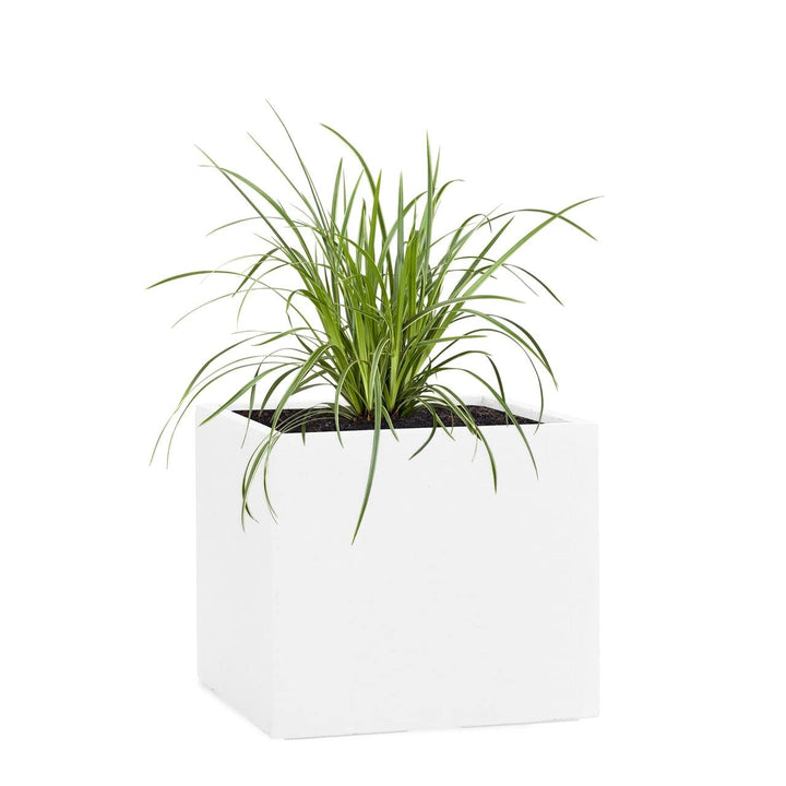 Pflanzwerk® Pflanzkübel Fiberglas Weiss Cube 30x34x34cm *Frostbeständige Blumenkübel* *Deutsche Prem