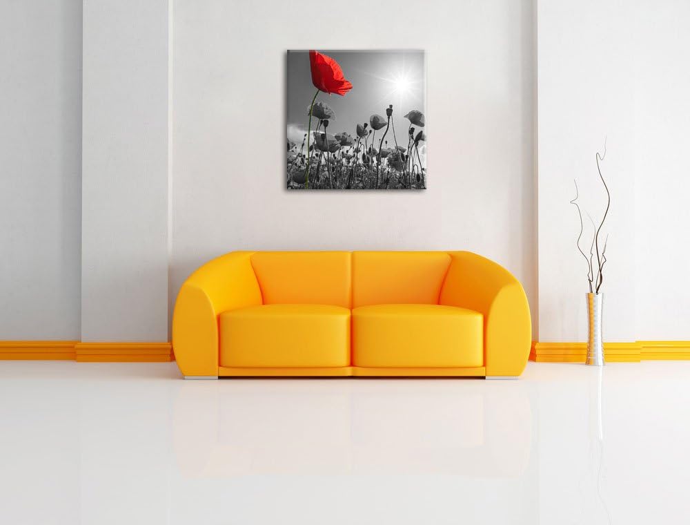 Pixxprint Mohnblumenfeld im Sommer als Leinwandbild/Grösse: 70x70 cm/Wandbild/Kunstdruck/fertig besp