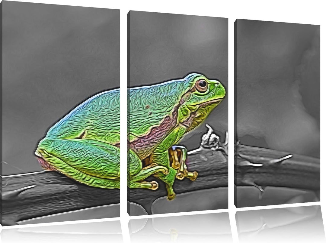 winziger Frosch auf Dornenast schwarz/weiss Spezial 3-Teiler Leinwandbild 120x80 Bild auf Leinwand,